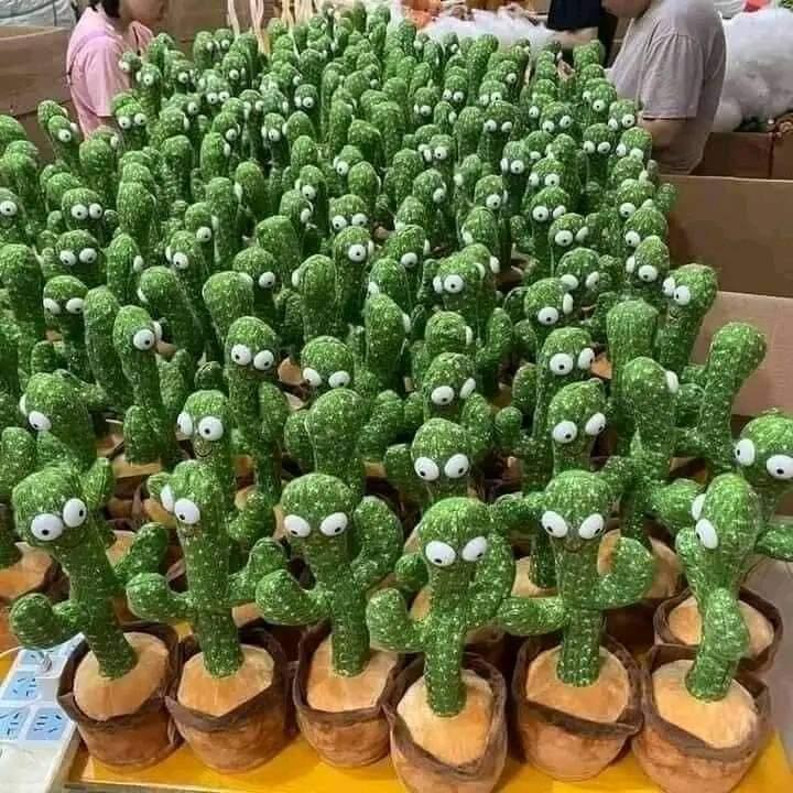 الصباره الراقصة