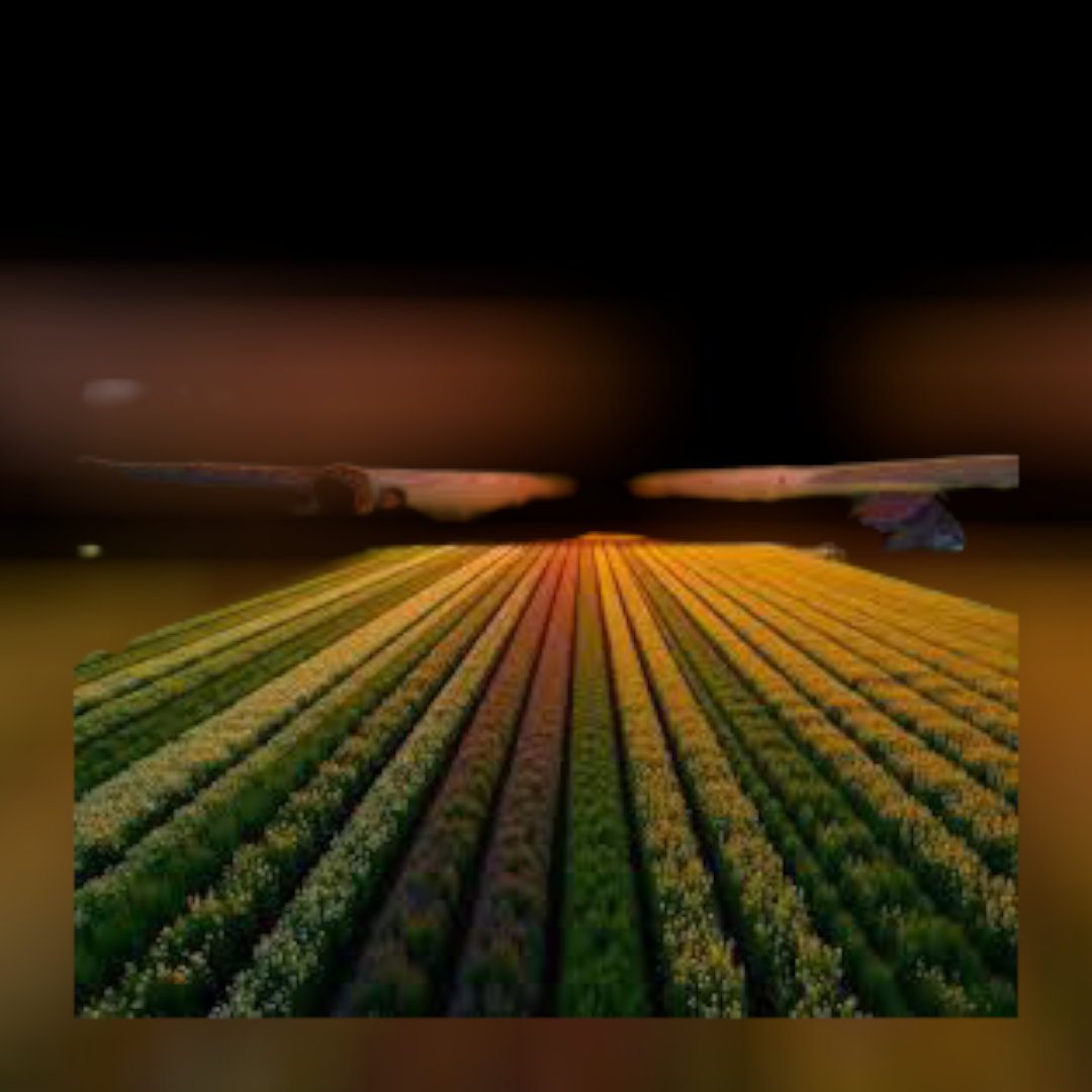 محاصيل زراعية