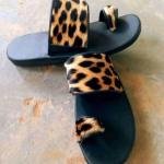 شباشب نمر قطع قوال