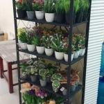 استاند الفولاذ 5 طوابق